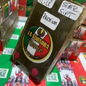  La Squadra Farmz Hash europe